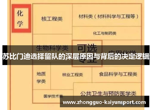 苏比门迪选择留队的深层原因与背后的决定逻辑 苏比门迪选择留队的深层原因与背后的决定逻辑