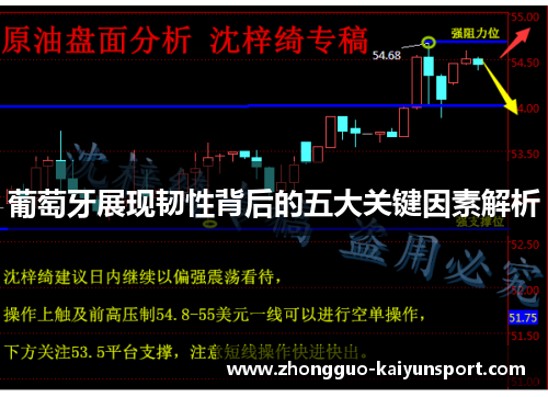 葡萄牙展现韧性背后的五大关键因素解析