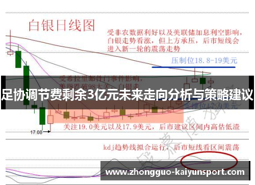 足协调节费剩余3亿元未来走向分析与策略建议