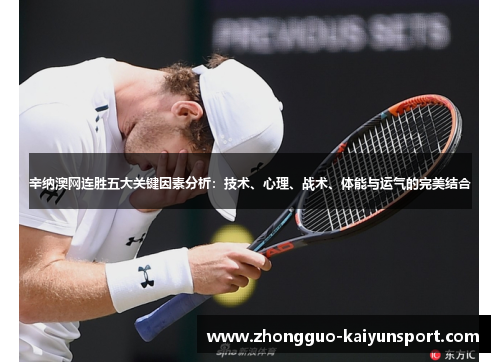 辛纳澳网连胜五大关键因素分析：技术、心理、战术、体能与运气的完美结合