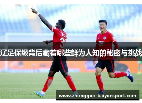辽足保级背后藏着哪些鲜为人知的秘密与挑战